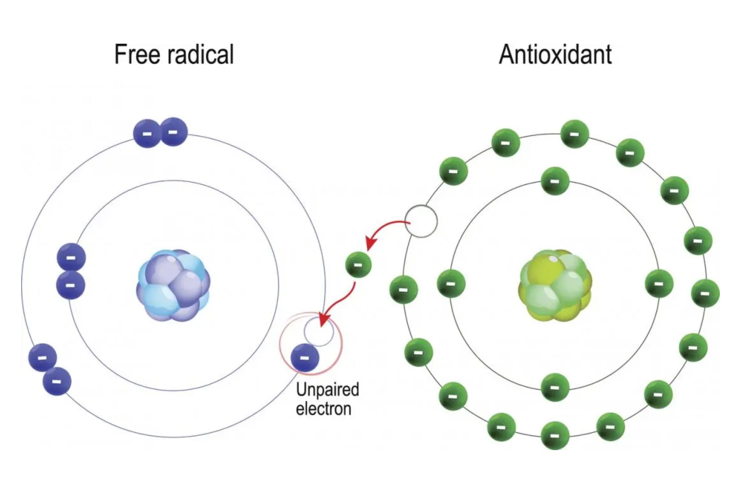 antioxidant-2